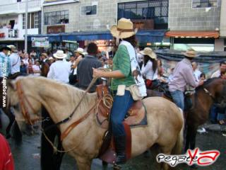 Foto 82 de Cabalgata 2009 - Feria Bucaramanga en Cabalgata 2009, Bucaramanga