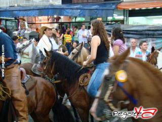 Foto 70 de Cabalgata 2009 - Feria Bucaramanga en Cabalgata 2009, Bucaramanga