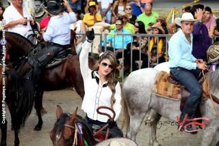 Foto 203 de Cabalgata Feria de Cali en Cabalgata Feria de Cali, Cali