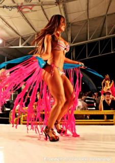Foto 230 de Chicas Car Audio 2012 - Cenfer Bucaramanga en Chicas Car Audio 2012, Bucaramanga