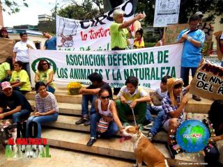 Foto 42 de No al Maltrato Animal en No al Maltrato Animal, Bucaramanga
