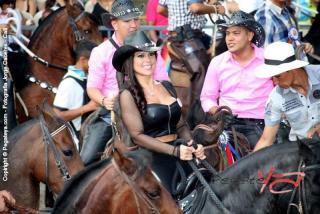 Foto 120 de Cabalgata Feria de Cali en Cabalgata Feria de Cali, Cali