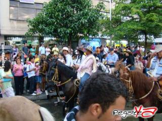 Foto 83 de Cabalgata 2009 - Feria Bucaramanga en Cabalgata 2009, Bucaramanga