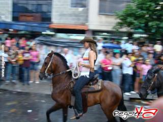 Foto 37 de Cabalgata 2009 - Feria Bucaramanga en Cabalgata 2009, Bucaramanga