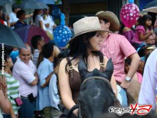 Foto 119 de Cabalgata 2009 - Feria Bucaramanga en Cabalgata 2009, Bucaramanga
