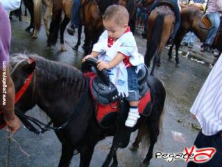 Foto 88 de Cabalgata 2009 - Feria Bucaramanga en Cabalgata 2009, Bucaramanga