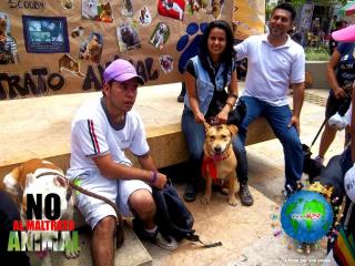 Foto 41 de No al Maltrato Animal en No al Maltrato Animal, Bucaramanga