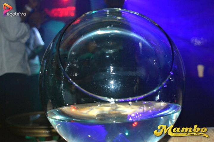 Foto 16 de Mambo Disco Club - 1er Fds Mayo 2017 en Mambo Disco Club, Cali