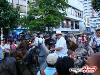 Foto 53 de Cabalgata 2009 - Feria Bucaramanga en Cabalgata 2009, Bucaramanga