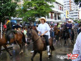 Foto 43 de Cabalgata 2009 - Feria Bucaramanga en Cabalgata 2009, Bucaramanga