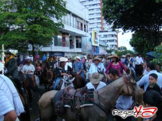 Foto 65 de Cabalgata 2009 - Feria Bucaramanga en Cabalgata 2009, Bucaramanga