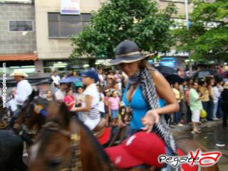 Foto 41 de Cabalgata 2009 - Feria Bucaramanga en Cabalgata 2009, Bucaramanga