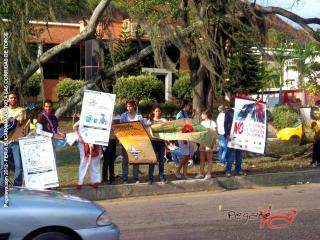 Foto 18 de Feria de Bucaramanga No a las Corridas en Feria de Bucaramanga No a las Corridas, Bucaramanga