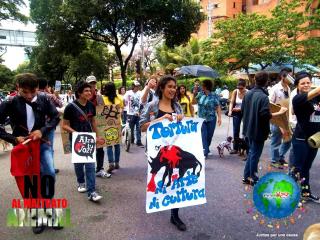 Foto 48 de No al Maltrato Animal en No al Maltrato Animal, Bucaramanga
