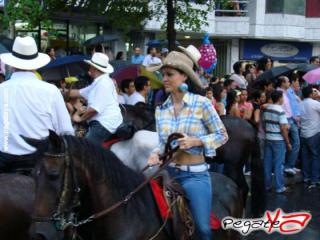 Foto 52 de Cabalgata 2009 - Feria Bucaramanga en Cabalgata 2009, Bucaramanga