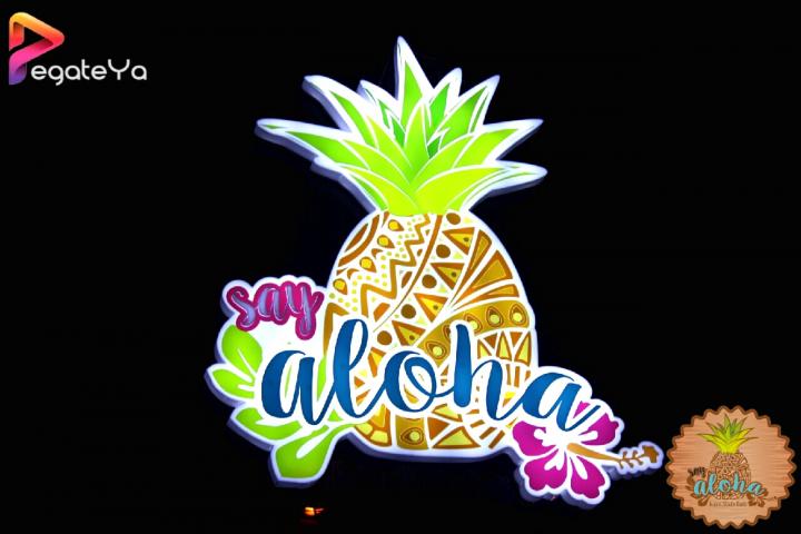 Foto 14 de Say Aloha State - 1er FDS Julio 2016 en Say Aloha State, Cali