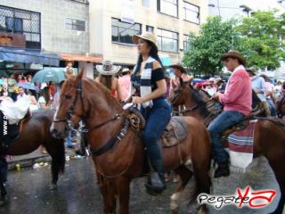 Foto 106 de Cabalgata 2009 - Feria Bucaramanga en Cabalgata 2009, Bucaramanga