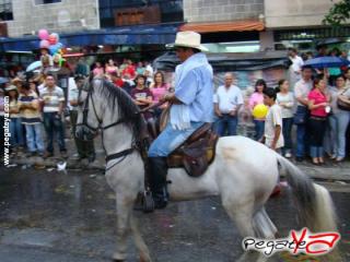 Foto 39 de Cabalgata 2009 - Feria Bucaramanga en Cabalgata 2009, Bucaramanga