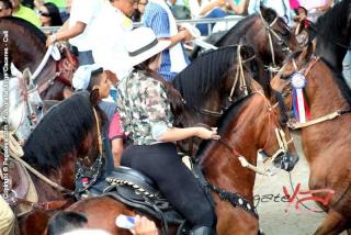 Foto 133 de Cabalgata Feria de Cali en Cabalgata Feria de Cali, Cali