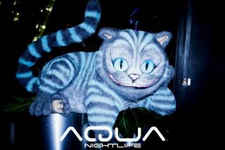 Foto 402 de Discoteca Aqua 26 y 27 de Octubre en Discoteca Aqua Medellin, Medellín