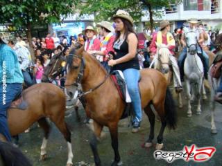 Foto 98 de Cabalgata 2009 - Feria Bucaramanga en Cabalgata 2009, Bucaramanga