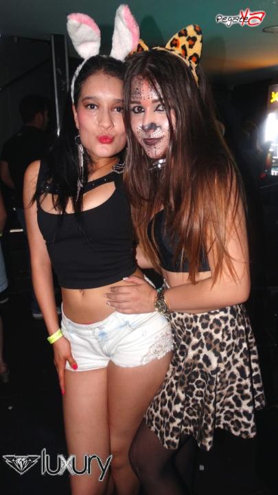 Foto 25 de Luxury - Halloween 2014 en Discoteca Luxury Medellin, Medellín