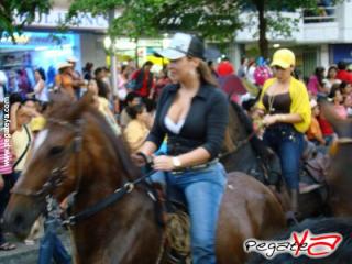 Foto 99 de Cabalgata 2009 - Feria Bucaramanga en Cabalgata 2009, Bucaramanga