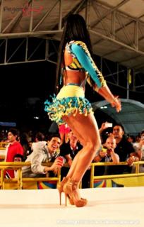Foto 206 de Chicas Car Audio 2012 - Cenfer Bucaramanga en Chicas Car Audio 2012, Bucaramanga