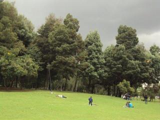 Foto 46 de C F S P F T V ( Mias ) en C F S P F T V ( Mias