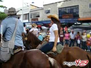 Foto 24 de Cabalgata 2009 - Feria Bucaramanga en Cabalgata 2009, Bucaramanga