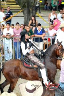 Foto 221 de Cabalgata Feria de Cali en Cabalgata Feria de Cali, Cali