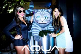 Foto 340 de Discoteca Aqua 26 y 27 de Octubre en Discoteca Aqua Medellin, Medellín