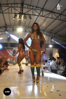 Foto 22 de Chicas Car Audio 2014 en Chicas Car Audio 2014, Cali