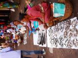 Foto 68 de Marchal Sylvain · julio de 2012 en Marchal Sylvain, Bucaramanga