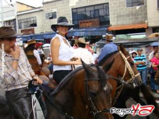 Foto 121 de Cabalgata 2009 - Feria Bucaramanga en Cabalgata 2009, Bucaramanga