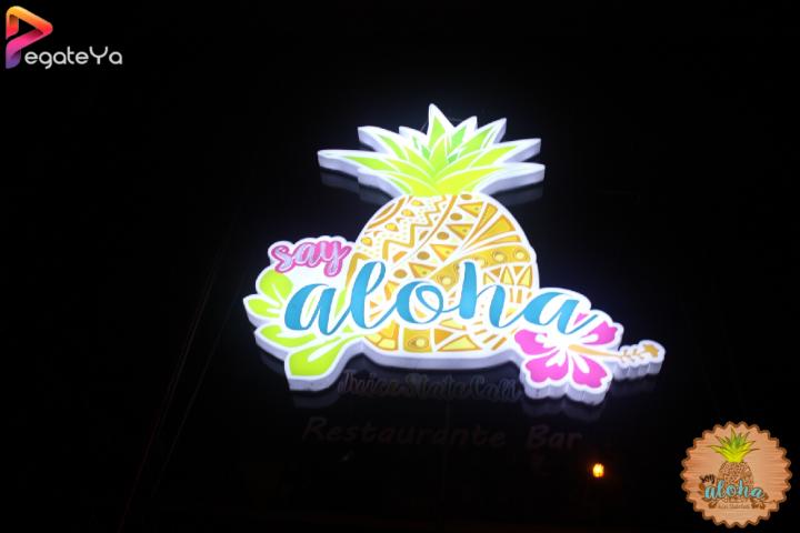 Foto 3 de Aloha Say State - 2do FDS Julio 2016 en Aloha Say State