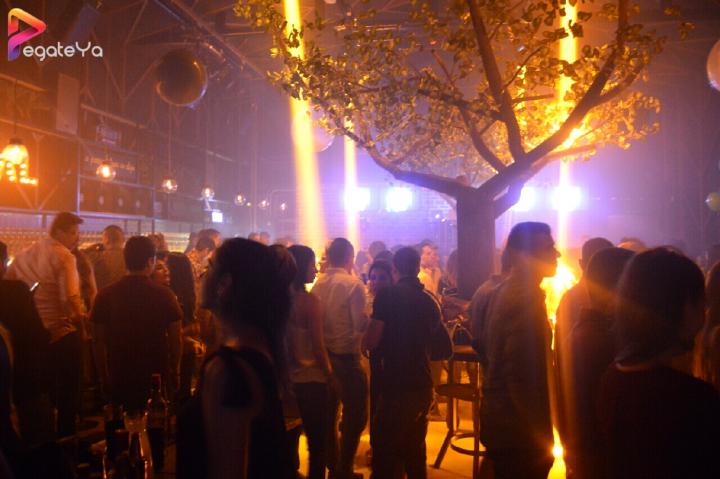 Foto 83 de La Social - 4to Fds Febrero 2017 en La Social, Cali