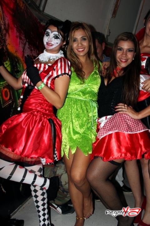 Foto 287 de Lolas - Halloween 2014 en Lolas Club Menga Cali, Cali
