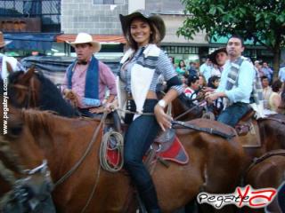 Foto 128 de Cabalgata 2009 - Feria Bucaramanga en Cabalgata 2009, Bucaramanga