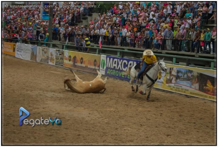 Foto 67 de MUNDIAL MUJER VAQUERA - Villavicencio en Mundial Mujer Vaquera, Villavicencio