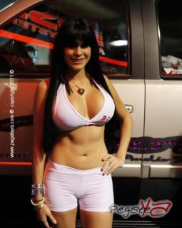 Foto 36 de Final Car Audio 2011 - Corferias en Final Car Audio 2011, Bogotá