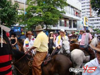 Foto 11 de Cabalgata 2009 - Feria Bucaramanga en Cabalgata 2009, Bucaramanga