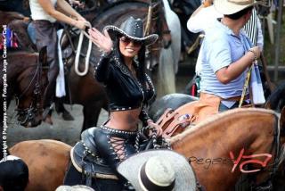 Foto 140 de Cabalgata Feria de Cali en Cabalgata Feria de Cali, Cali