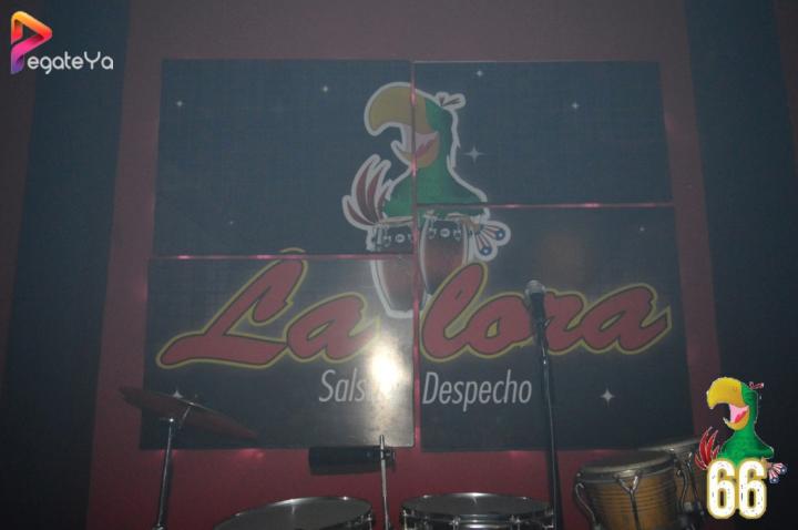 Foto 11 de La Lora Bar - 1er FDS Marzo 2016 en La Lora Bar, Cali