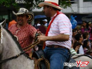 Foto 7 de Cabalgata 2009 - Feria Bucaramanga en Cabalgata 2009, Bucaramanga
