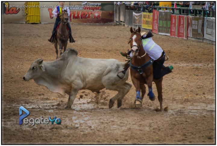 Foto 10 de MUNDIAL MUJER VAQUERA - Villavicencio en Mundial Mujer Vaquera, Villavicencio