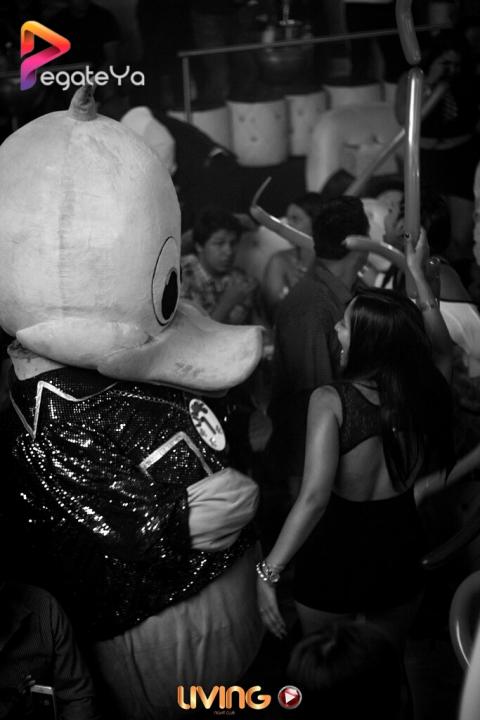 Foto 57 de Living Night Club - 3er fds Junio 2016 en Living Night Club, Cali