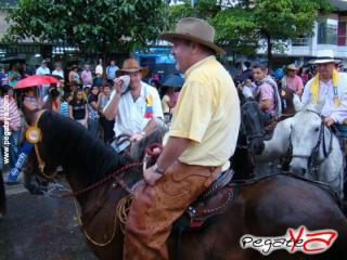 Foto 12 de Cabalgata 2009 - Feria Bucaramanga en Cabalgata 2009, Bucaramanga