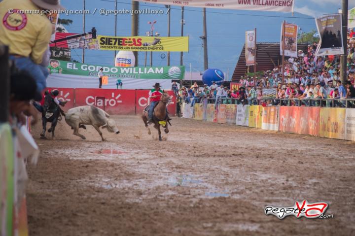 Foto 103 de 18 Mundial de Coleo en PegateYa Villavicencio, Villavicencio