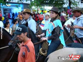 Foto 72 de Cabalgata 2009 - Feria Bucaramanga en Cabalgata 2009, Bucaramanga